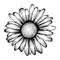 MR-anndawsongraphics-fw210602hl30-2572023161420.jpeg