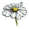 MR-kayeduncanshop-fw210605hl97-2572023161618.jpeg
