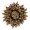 MR-pabloliugraphicdesigner-fw210602hl35-2572023161852.jpeg