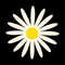 MR-pabloliugraphicdesigner-fw210605hl98-257202316339.jpeg