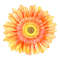 MR-kayeduncanshop-fw210605hl75-2572023164852.jpeg