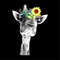 MR-ilenemaxwellproducts-fw210605hl88-257202316573.jpeg