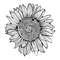 MR-pabloliugraphicdesigner-fw210605hl92-2572023165948.jpeg