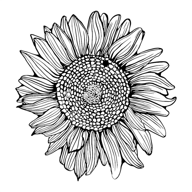 MR-pabloliugraphicdesigner-fw210605hl92-2572023165948.jpeg