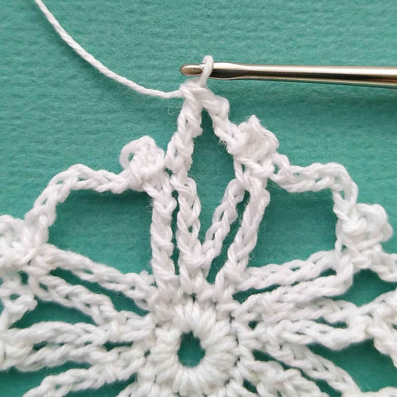 IMG20220703090209jpg