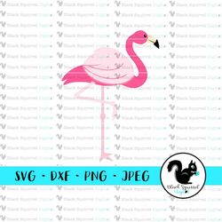 pink flamingo, summer beach shirt, tropical vacation, pool party, coastal svg, clipart, print & cut file, stencil, silho