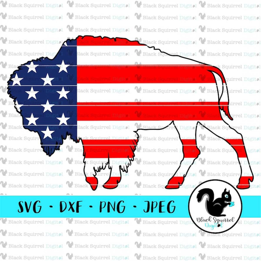 MR-2572023194723-buffalo-american-flag-stars-fourth-of-july-red-white-blue-image-1.jpg