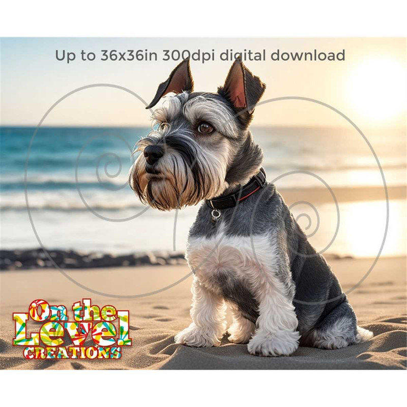 MR-257202320653-miniature-schnauzer-dog-at-the-beach-sublimation-portrait-image-1.jpg