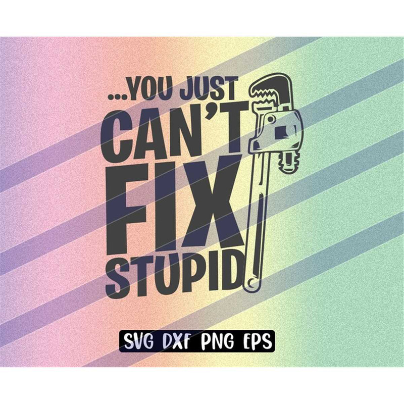 MR-2572023202425-you-just-cant-fix-stupid-svg-dxf-png-eps-instant-download-image-1.jpg