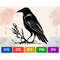 MR-257202321257-crow-svg-black-and-white-vector-cut-file-for-cricut-svg-image-1.jpg
