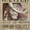 WANTED 16.jpg