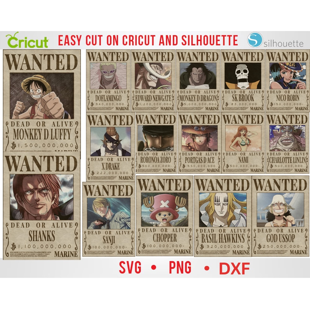 one piece all wanted .jpg