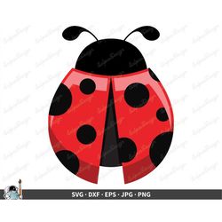 ladybug svg lady bug clip art cut file silhouette dxf eps png jpg instant digital download