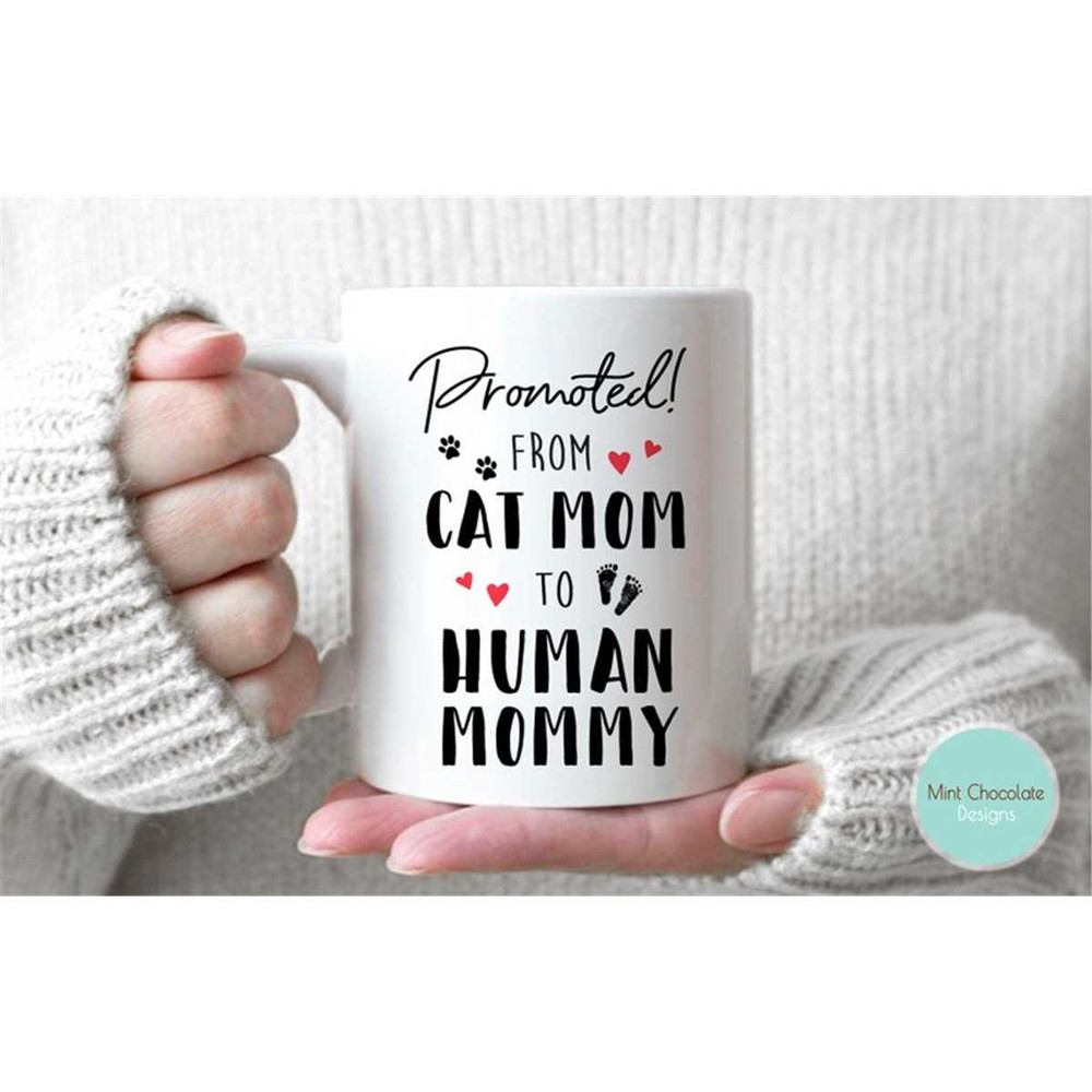 MR-267202385950-from-cat-mom-to-human-mommy-new-mom-gift-first-time-mom-image-1.jpg