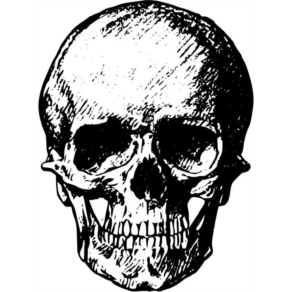 MR-267202310637-death-svg-skull-svg-vintage-skull-svg-halloween-svg-skull-image-1.jpg