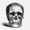 MR-2672023102619-hand-drawn-realistic-human-skull-illustration-svg-skeleton-image-1.jpg