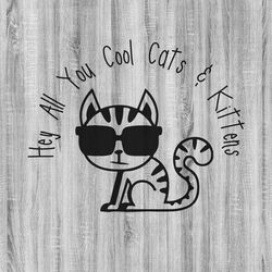 hey all you cool cats svg bundle, tiger king svg bundle, joe exotic svg bundle, svg, png, dxf, eps, svg for cricut, svg