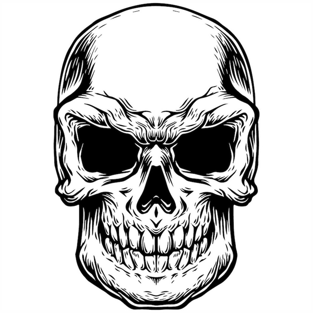 MR-267202311758-hand-drawn-bald-skull-svg-vintage-monochrome-skeleton-head-image-1.jpg