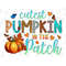 MR-2672023121852-cutest-pumpkin-in-the-patch-png-fall-pumpkin-sublimation-image-1.jpg
