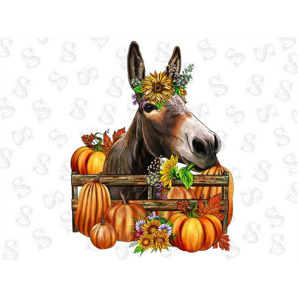 MR-2672023124720-donkey-with-sunflowers-and-pumpkin-png-sublimation-design-image-1.jpg