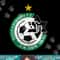 Maccabi Haifa Shirt FC Football club Israel Tshirt copy.jpg