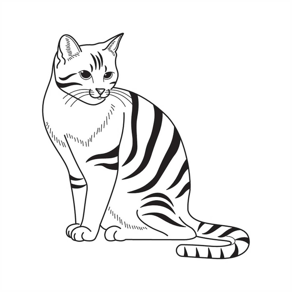 MR-2672023145223-hand-drawn-cat-outline-svg-black-and-white-illustration-cute-image-1.jpg