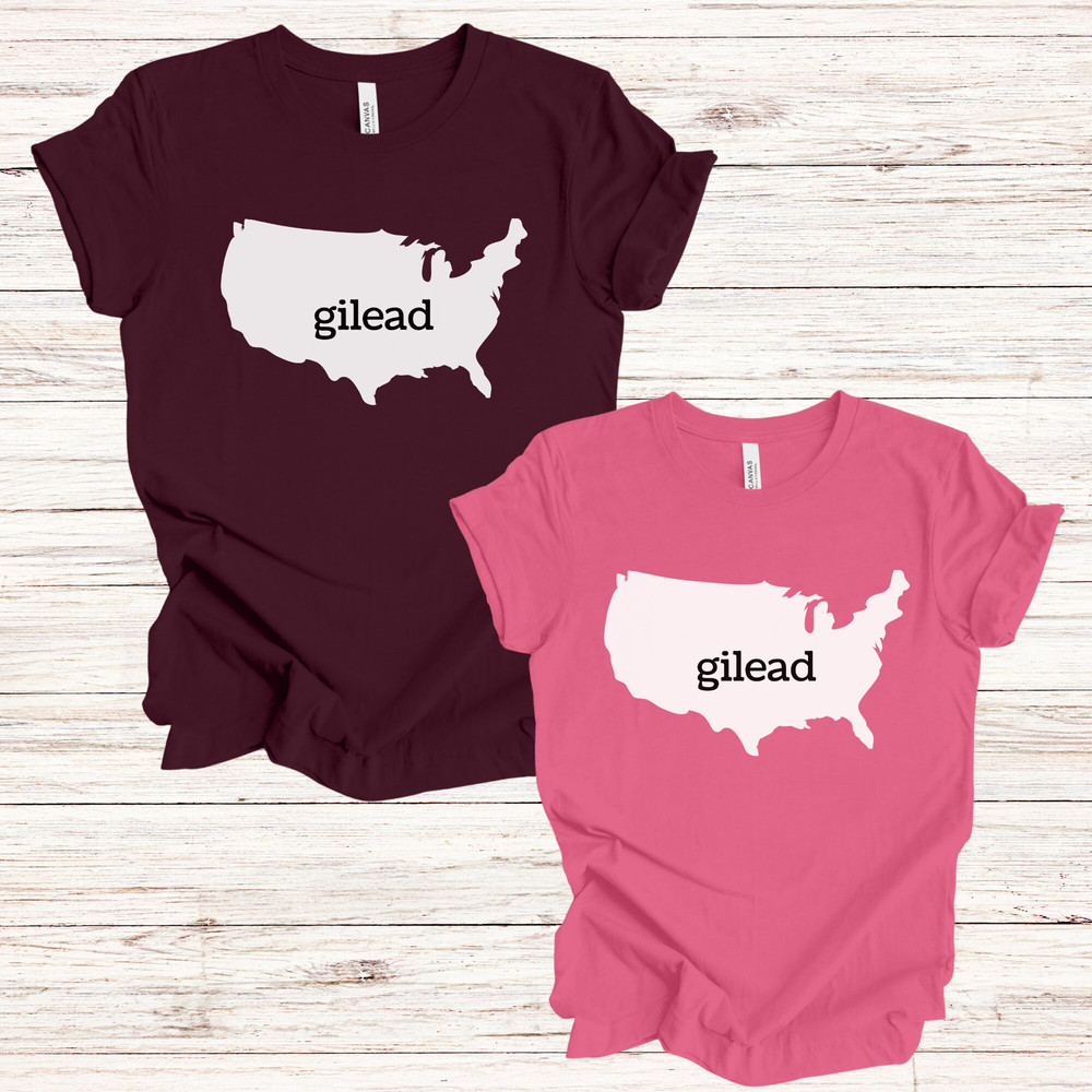 handmaids shirt, gilead shirt, reproductive rights shirt, pro-choice shirt, feminist shirt, womens right shirt, roe v wade shirt, pro roe - 9.jpg