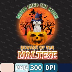 Never Mind The Witch Beware Of The Maltese Png File, Maltese Pumpkin Png, Halloween Pumpkin Dog Png, Sublimation