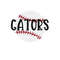 MR-2672023202219-gators-distressed-baseball-svg-image-1.jpg
