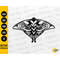 MR-277202322135-moth-svg-file-insect-vinyl-stencil-graphics-drawing-image-1.jpg