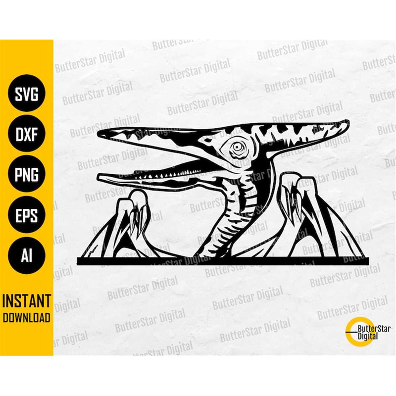 MR-2772023323-pterodactyl-dinosaur-svg-pterosaur-svg-flying-dino-wall-image-1.jpg