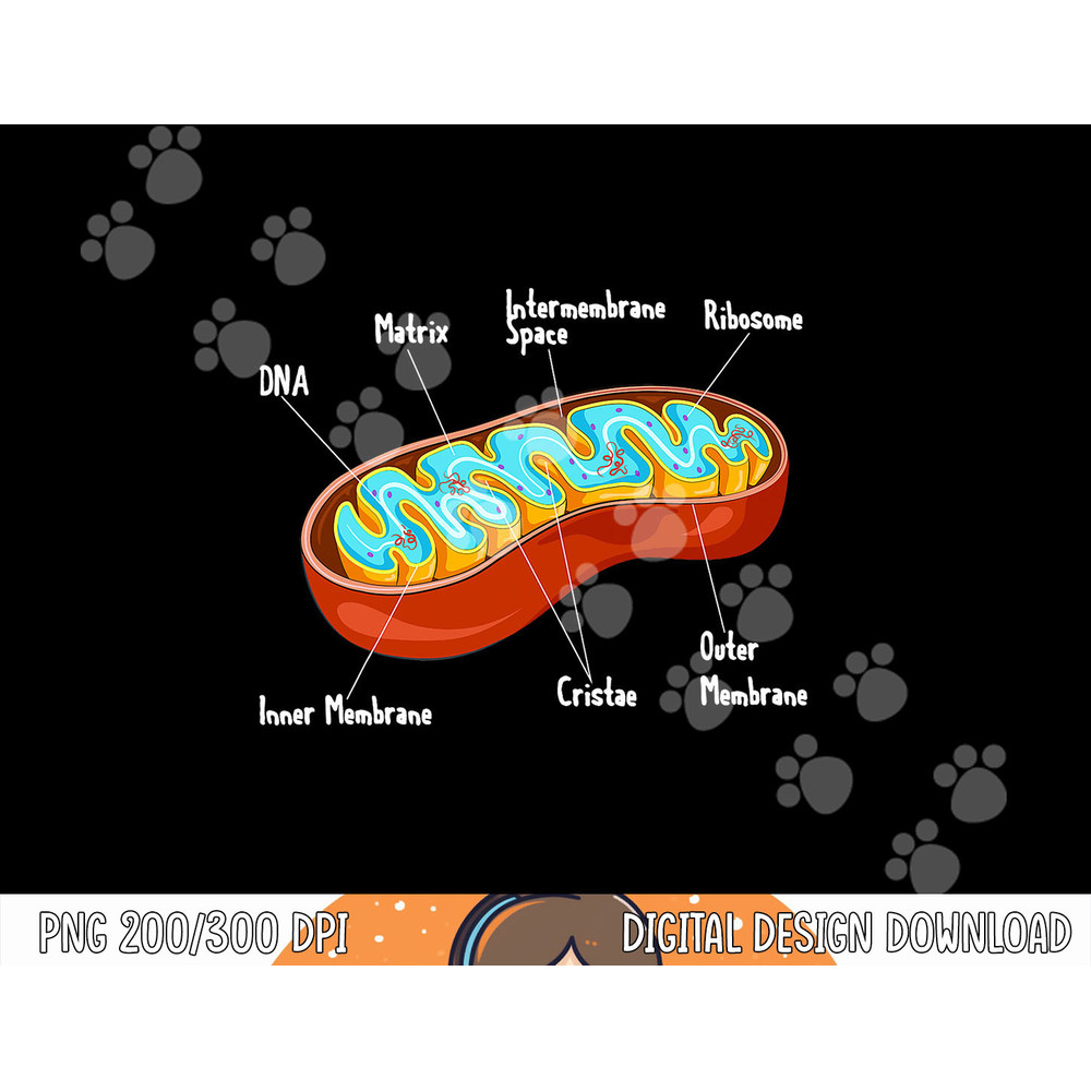Mitochondria Cell Biology Biologist Science Teacher Student  png, sublimation copy.jpg