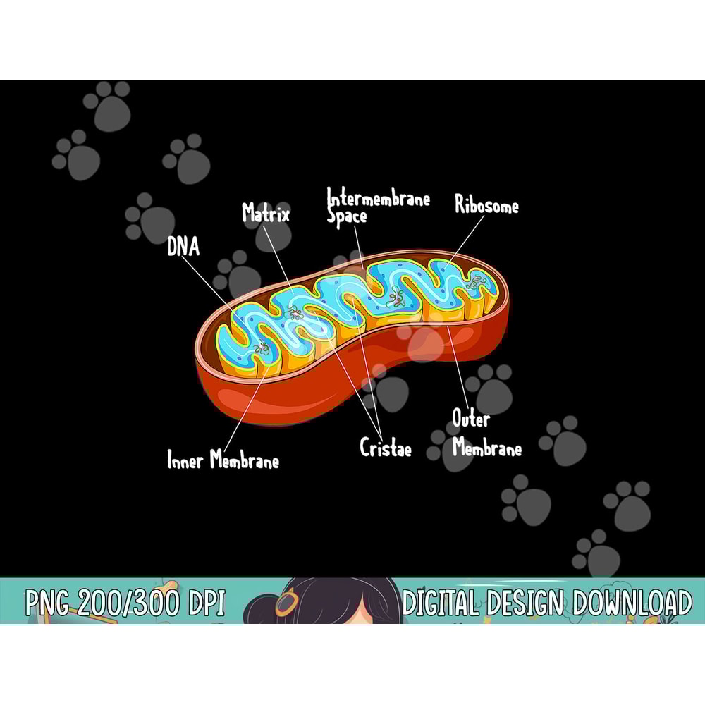 Mitochondria Cell Biology Biologist Science Teacher Student png, sublimation copy.jpg