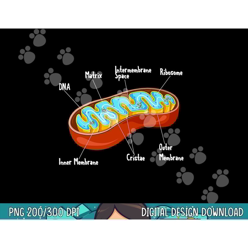 Mitochondria Cell Biology Biologist Science Teacher Student png, sublimation copy.jpg