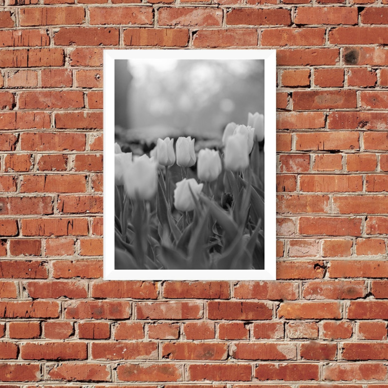 Дизайн без названия.png