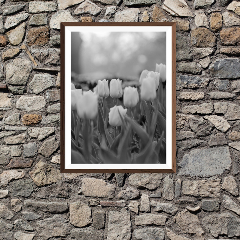 Дизайн без названия (5).png