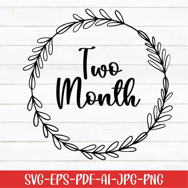 MR-277202355231-two-month-svg-baby-svg-baby-month-svg-digital-download-image-1.jpg