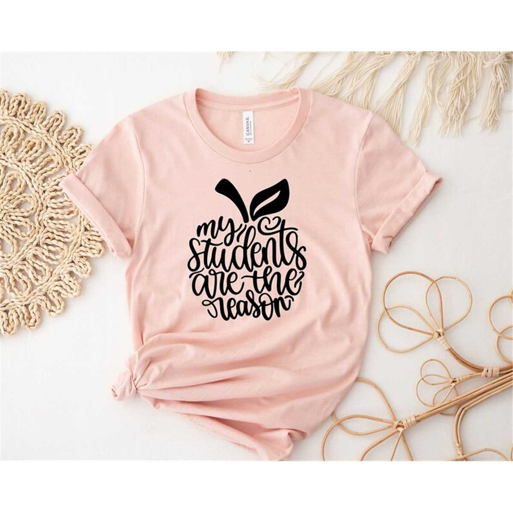 MR-27720239834-teacher-shirt-my-students-are-the-reason-shirt-for-teacher-image-1.jpg