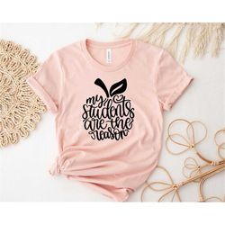 teacher shirt my students are the reason shirt for teacher appreciation gift teacher life shirt teacher school shirt cut