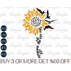 sunflower svg, you are my sunshine svg, valentines day svg, free bird svg, valentine png, svg file for cricut, sublimati