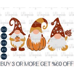 fall gnomes svg bundle, funny fall svg, pumpkin svg, thanksgiving, gnome clipart, kids, png, files for cricut, sublimati