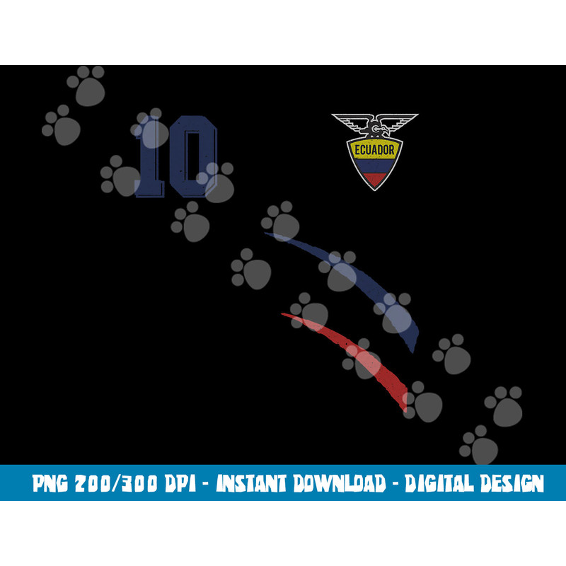 Ecuador in Football Soccer Style png, sublimation copy.jpg