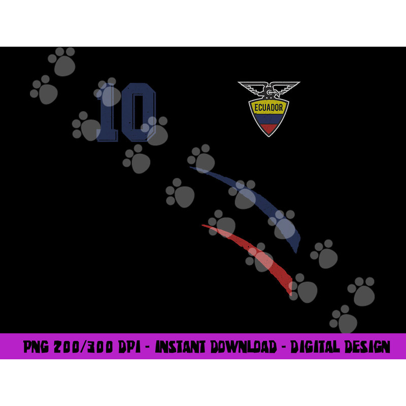 Ecuador in Football Soccer Style png, sublimation copy.jpg