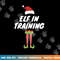 Elf In Training Tshirt, Christmas Elves Family Gift Shirt copy.jpg