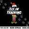Elf In Training Tshirt, Christmas Elves Family Gift Shirt copy.jpg