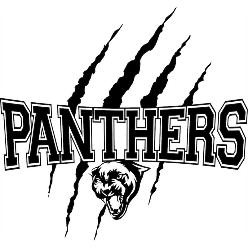 MR-2772023134038-panthers-svg-panther-scratches-design-digital-cut-file-team-image-1.jpg