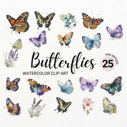 monarch butterfly clipart | watercolor butterfly png | floral clipart | summer clipart | butterfly painting | lavender p