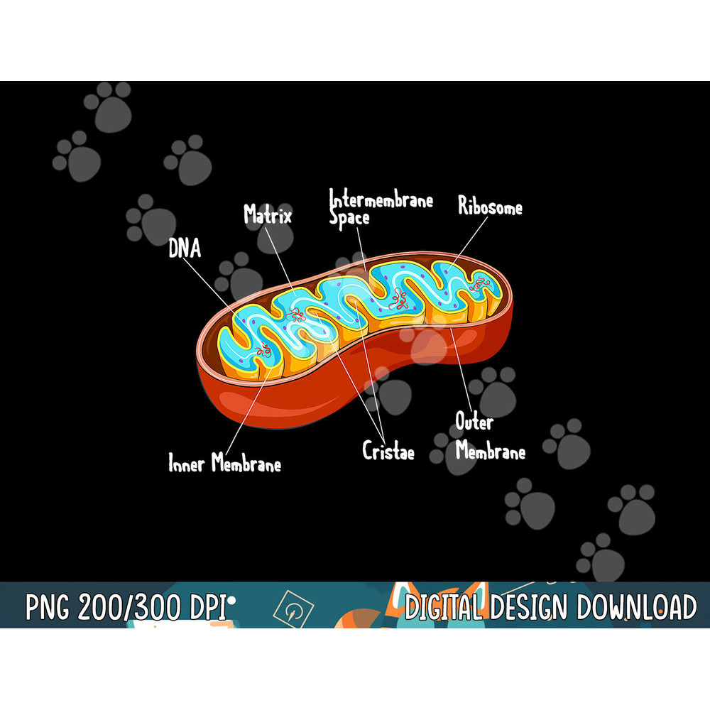 Mitochondria Cell Biology Biologist Science Teacher Student png, sublimation copy.jpg