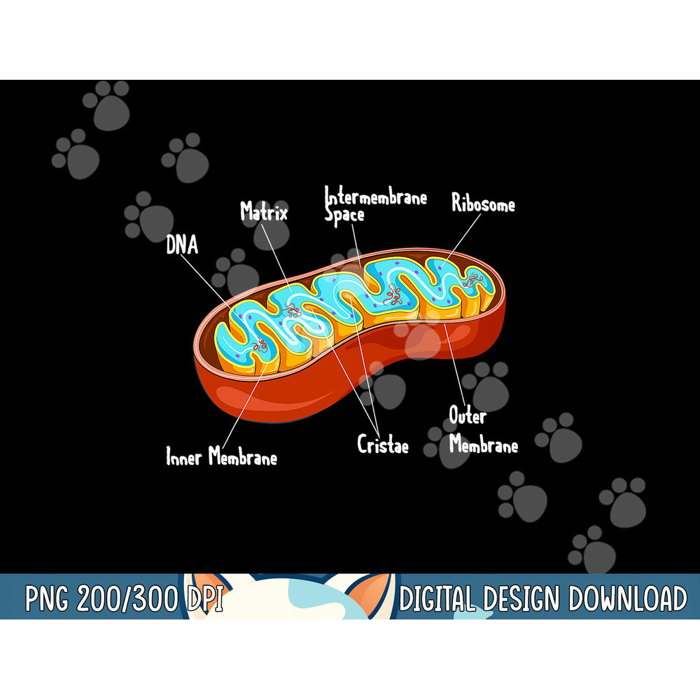 Mitochondria Cell Biology Biologist Science Teacher Student png, sublimation copy.jpg