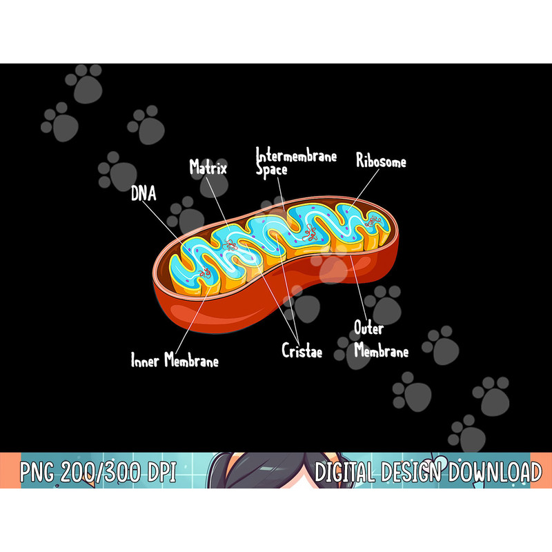 Mitochondria Cell Biology Biologist Science Teacher Student png, sublimation.jpg